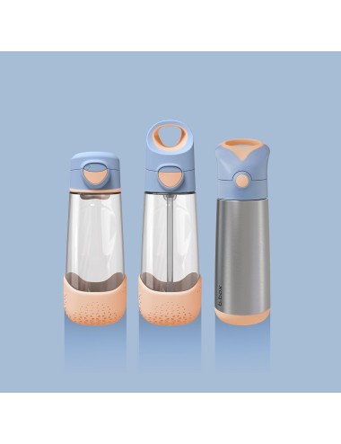 BBOX Gourde Isotherme 500 ml - Peachy