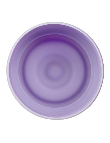 BBOX Base antichoc gourde 1L - Lilac love