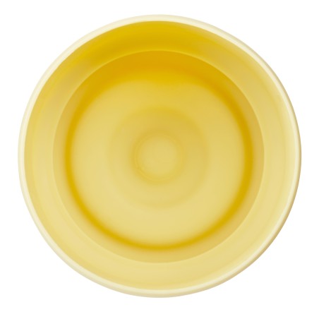 BBOX Base antichoc gourde 1L - Lemon Twist