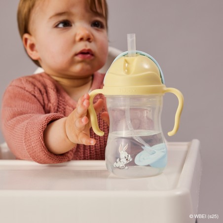 BBOX Sippy cup - Looney Tunes