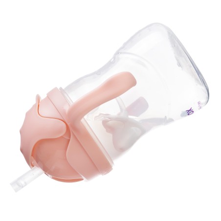 BBOX Sippy cup - Tutti Fruitti