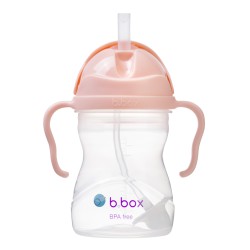 BBOX Sippy cup - Tutti Fruitti