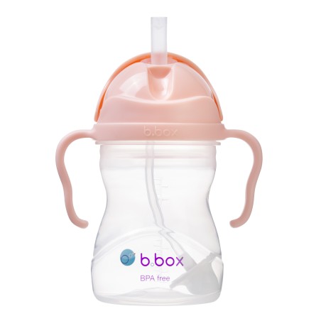 BBOX Sippy cup - Tutti Fruitti