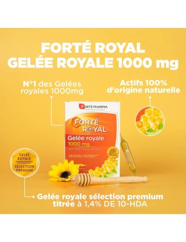 Forté Pharma Gelée Royale 1000 mg – 20 ampoules