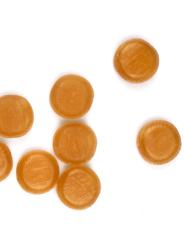 Forté Pharma Forté Royal Pastilles – 24 unités
