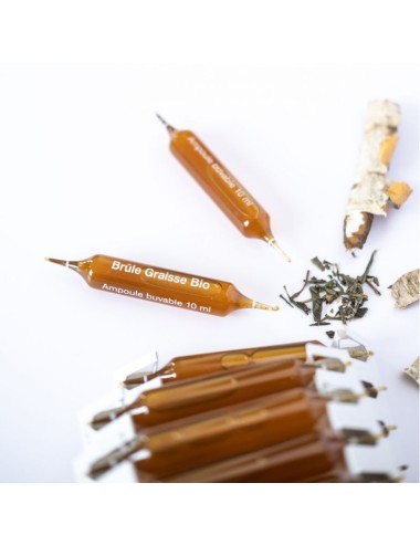 Dietaroma Cap Ligne Brûle Graisse + élimination – 30 ampoules + 10 offertes