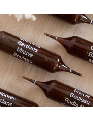 Dietaroma Drain Idéal Détox 5 Émonctoires Bio – 20 ampoules
