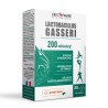 Eric Favre Lactobacillus Gasseri – 30 gélules