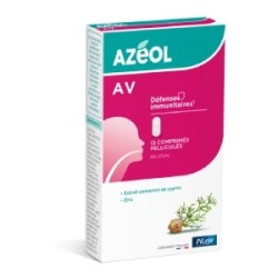 PiLeJe Azéol AV – 15 comprimés