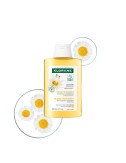 KLORANE – Shampooing Reflets Dorés à la Camomille (200 ml)