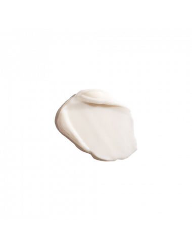 Erborian Ginseng Power Contour Yeux Anti-Rides – 15 ml