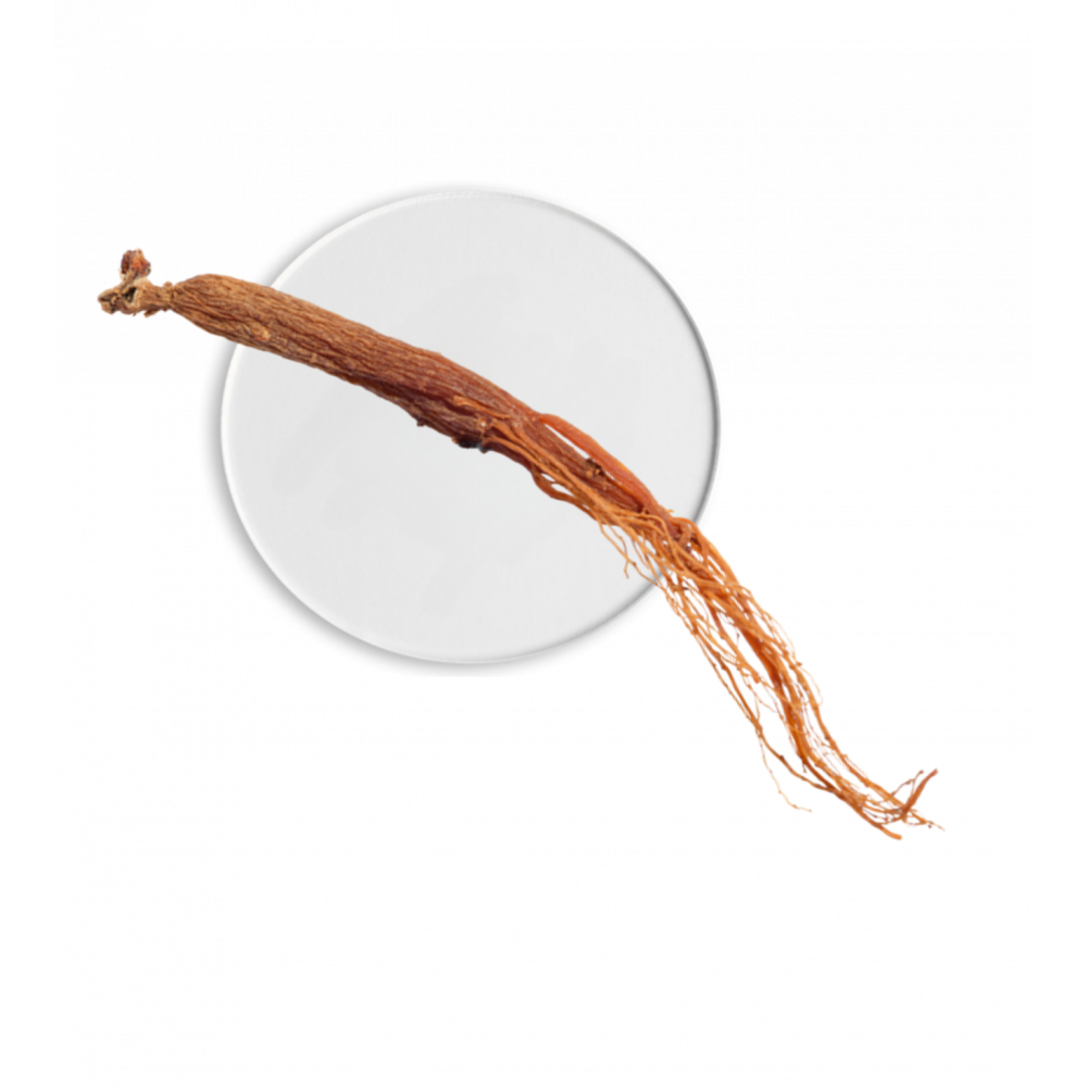 Erborian BB Crème au Ginseng Teinte Nude SPF 20 – 40 ml