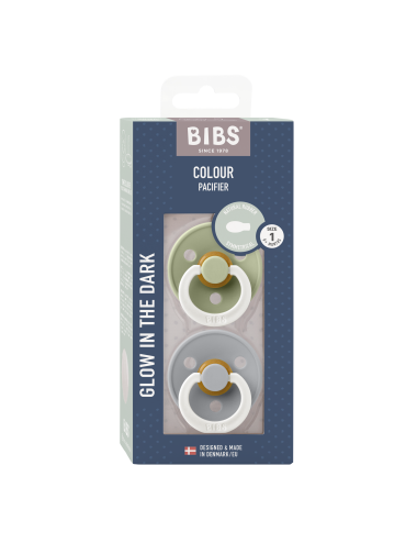2 Sucettes BIBS Colour Symetique Sage / Cloud - GLOW