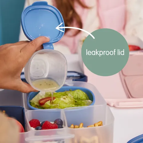 BBOX Snack Tub - Berry