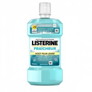 Listerine bain de bouche traitement professionnel gencives 500ml