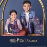 BBOX Snackbox - Harry Potter