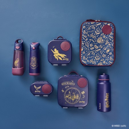 BBOX Gourde Isotherme 500 ml - Harry Potter