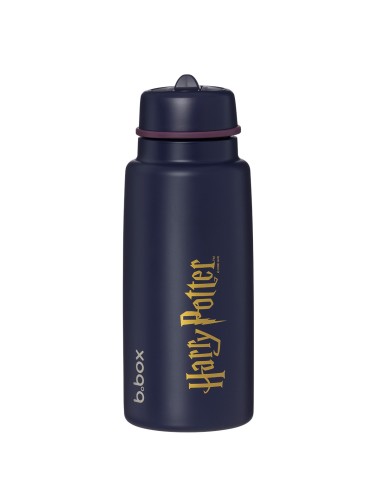 BBOX Gourde Isotherme 1L - Harry Potter